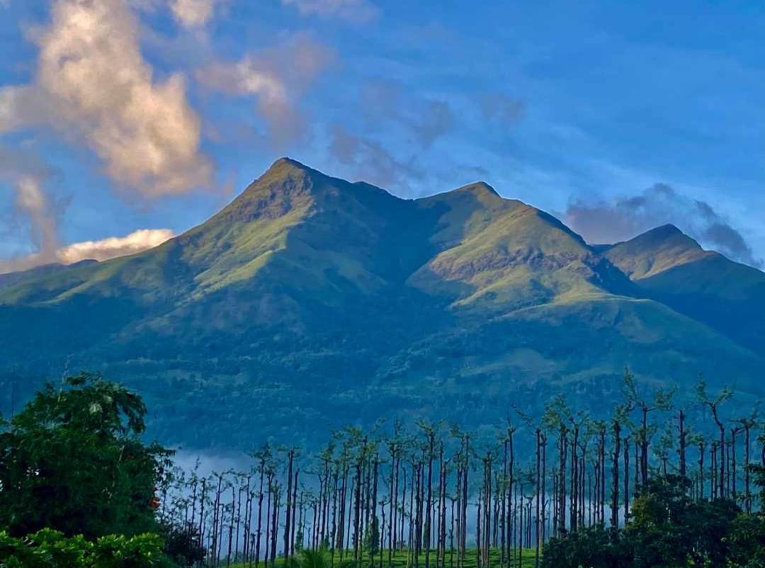 Jungle Valley Ayurvedic Spa Resort Meppadi Екстер'єр фото
