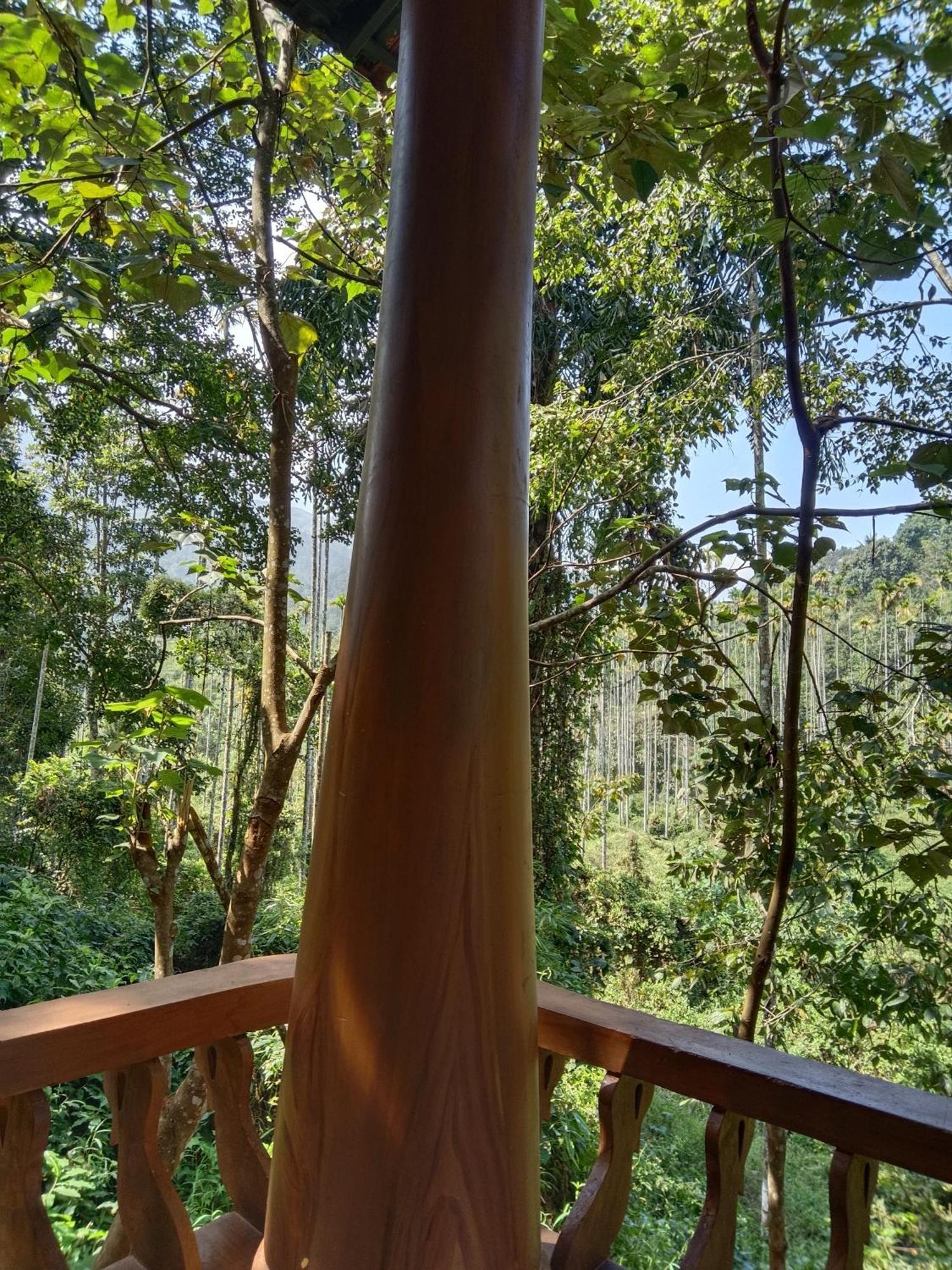 Jungle Valley Ayurvedic Spa Resort Meppadi Екстер'єр фото