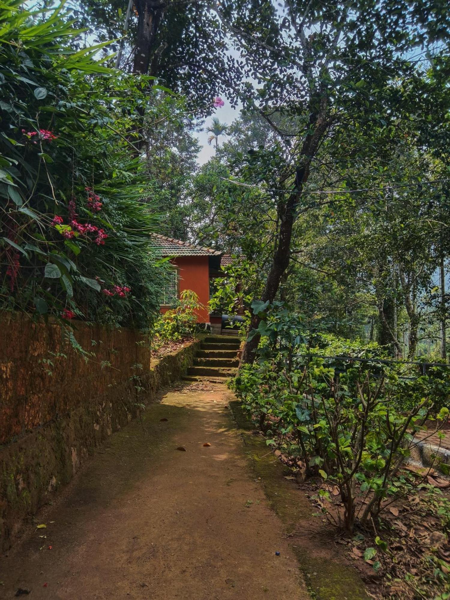 Jungle Valley Ayurvedic Spa Resort Meppadi Екстер'єр фото
