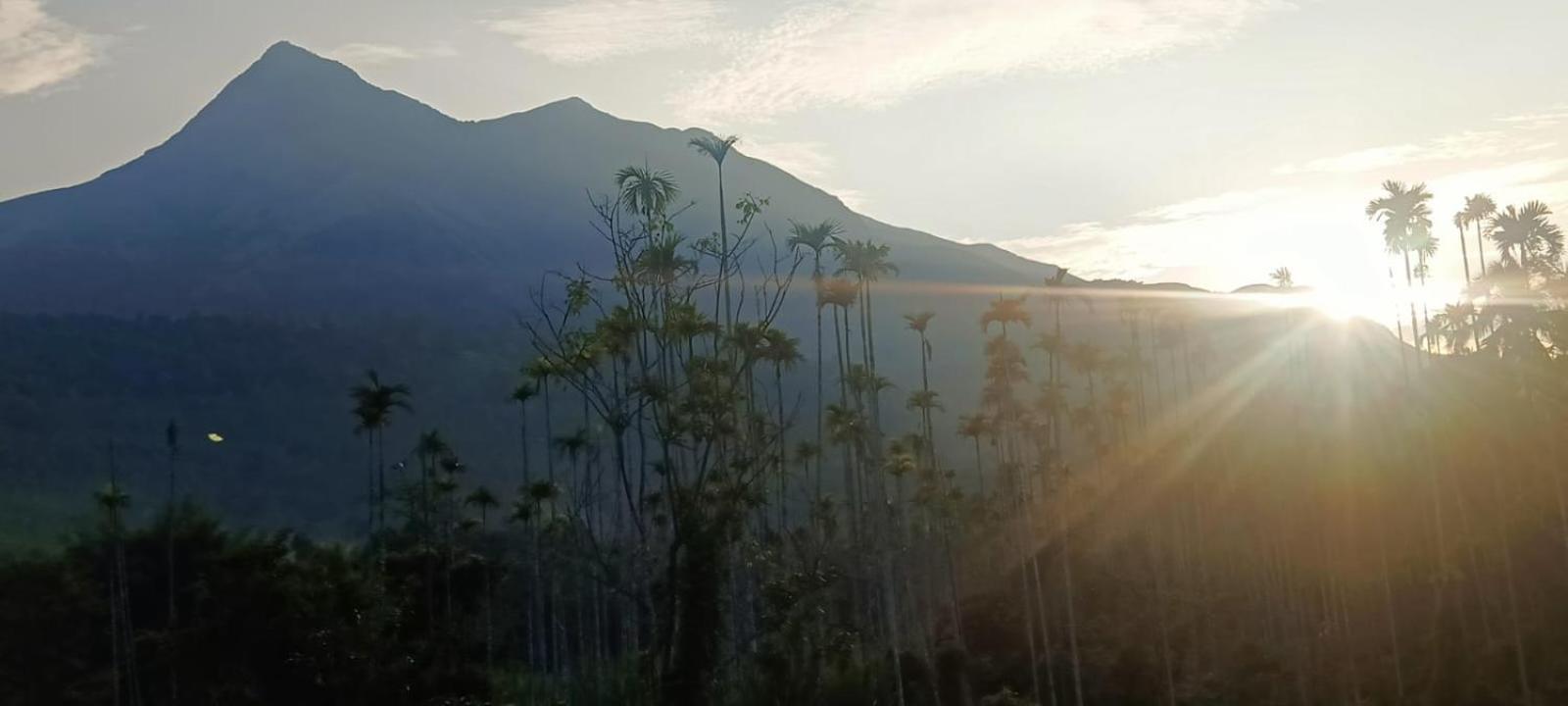 Jungle Valley Ayurvedic Spa Resort Meppadi Екстер'єр фото